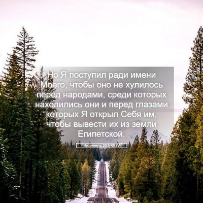Picture 05 - Иезекииль 20:9 RUSV - Но Я поступил ради имени - Bible Verse Picture