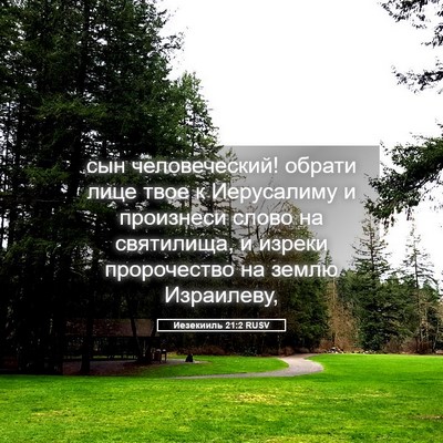 Picture 05 - Иезекииль 21:2 RUSV - сын человеческий! обрати - Bible Verse Picture