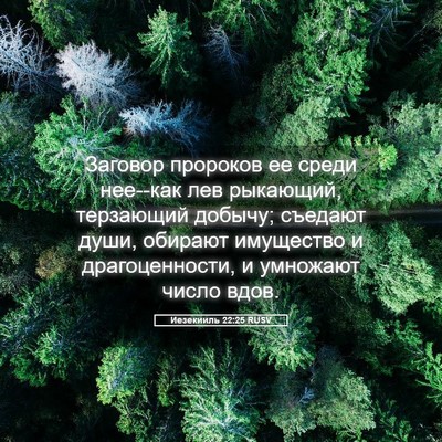 Picture 05 - Иезекииль 22:25 RUSV - Заговор пророков ее среди - Bible Verse Picture