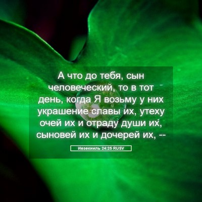 Picture 05 - Иезекииль 24:25 RUSV - А что до тебя, сын - Bible Verse Picture
