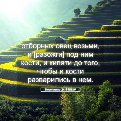 Picture 05 - Иезекииль 24:5 RUSV - отборных овец возьми, и - Bible Verse Picture