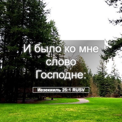 Picture 05 - Иезекииль 25:1 RUSV - И было ко мне слово - Bible Verse Picture