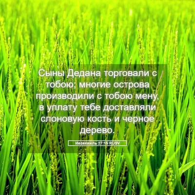 Picture 05 - Иезекииль 27:15 RUSV - Сыны Дедана торговали с - Bible Verse Picture