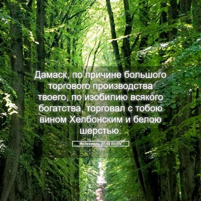 Picture 05 - Иезекииль 27:18 RUSV - Дамаск, по причине - Bible Verse Picture