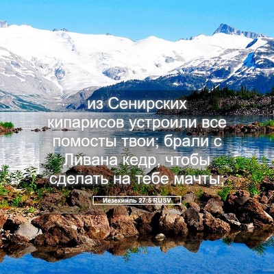 Picture 05 - Иезекииль 27:5 RUSV - из Сенирских кипарисов - Bible Verse Picture
