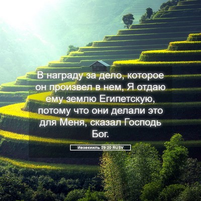 Picture 05 - Иезекииль 29:20 RUSV - В награду за дело, которое - Bible Verse Picture