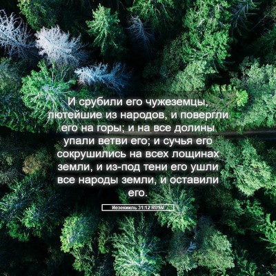 Picture 05 - Иезекииль 31:12 RUSV - И срубили его чужеземцы, - Bible Verse Picture