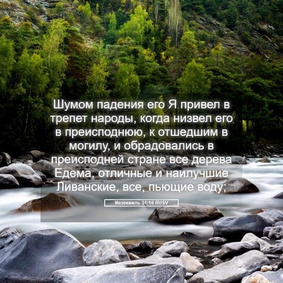 Picture 05 - Иезекииль 31:16 RUSV - Шумом падения его Я привел - Bible Verse Picture