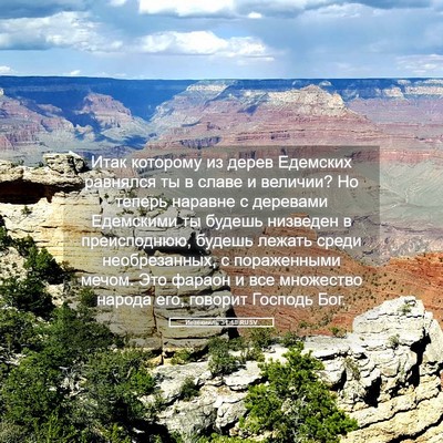 Picture 05 - Иезекииль 31:18 RUSV - Итак которому из дерев - Bible Verse Picture