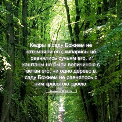 Picture 05 - Иезекииль 31:8 RUSV - Кедры в саду Божием не - Bible Verse Picture