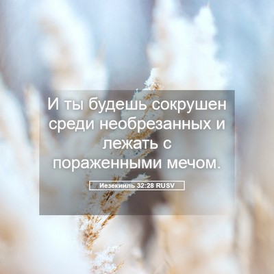 Picture 05 - Иезекииль 32:28 RUSV - И ты будешь сокрушен среди - Bible Verse Picture