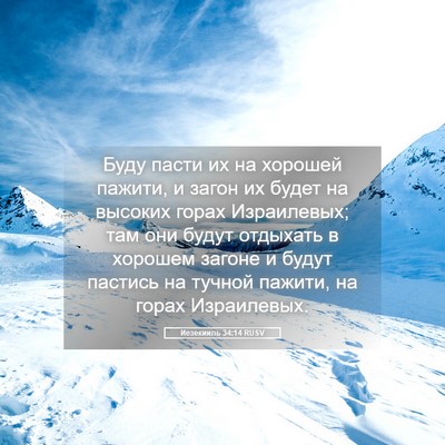Picture 05 - Иезекииль 34:14 RUSV - Буду пасти их на хорошей - Bible Verse Picture