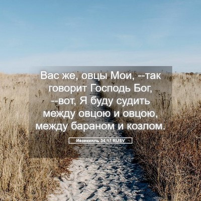 Picture 05 - Иезекииль 34:17 RUSV - Вас же, овцы Мои, --так - Bible Verse Picture