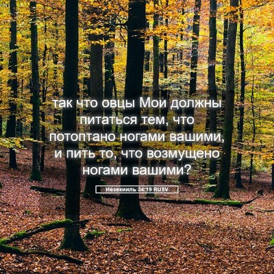 Picture 05 - Иезекииль 34:19 RUSV - так что овцы Мои должны - Bible Verse Picture