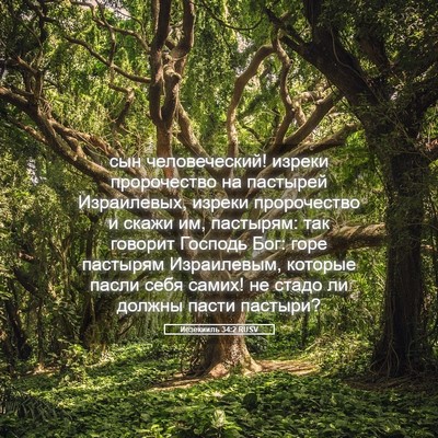 Picture 05 - Иезекииль 34:2 RUSV - сын человеческий! изреки - Bible Verse Picture
