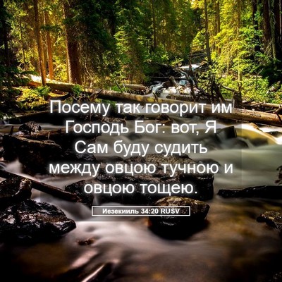 Picture 05 - Иезекииль 34:20 RUSV - Посему так говорит им - Bible Verse Picture