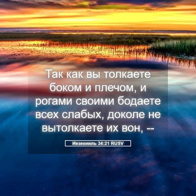 Picture 05 - Иезекииль 34:21 RUSV - Так как вы толкаете боком и - Bible Verse Picture