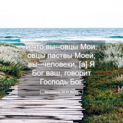 Picture 05 - Иезекииль 34:31 RUSV - и что вы--овцы Мои, овцы - Bible Verse Picture