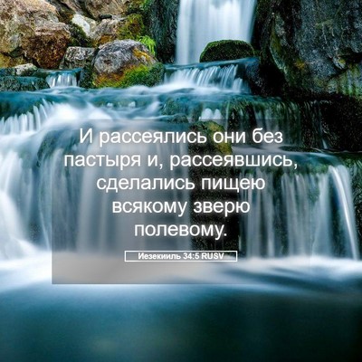 Picture 05 - Иезекииль 34:5 RUSV - И рассеялись они без - Bible Verse Picture