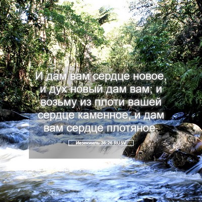 Picture 05 - Иезекииль 36:26 RUSV - И дам вам сердце новое, и - Bible Verse Picture