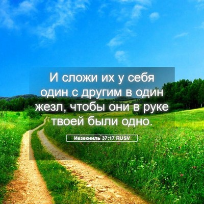 Picture 05 - Иезекииль 37:17 RUSV - И сложи их у себя один с - Bible Verse Picture