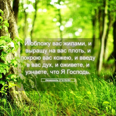 Picture 05 - Иезекииль 37:6 RUSV - И обложу вас жилами, и - Bible Verse Picture
