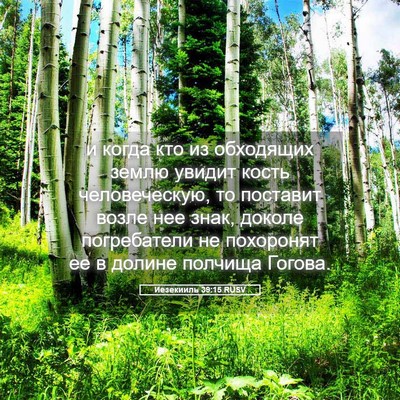 Picture 05 - Иезекииль 39:15 RUSV - и когда кто из обходящих - Bible Verse Picture