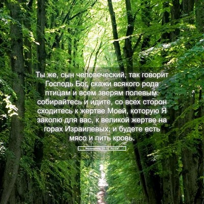 Picture 05 - Иезекииль 39:17 RUSV - Ты же, сын человеческий, - Bible Verse Picture