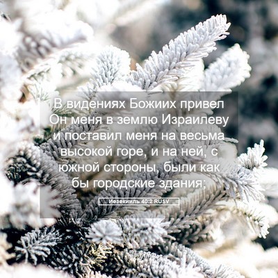 Picture 05 - Иезекииль 40:2 RUSV - В видениях Божиих привел - Bible Verse Picture