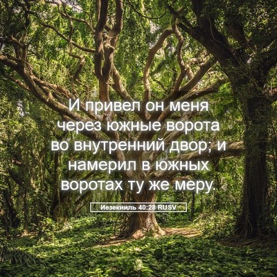 Picture 05 - Иезекииль 40:28 RUSV - И привел он меня через - Bible Verse Picture