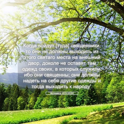 Picture 05 - Иезекииль 42:14 RUSV - Когда войдут [туда] - Bible Verse Picture