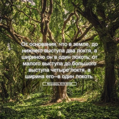 Picture 05 - Иезекииль 43:14 RUSV - От основания, что в земле, - Bible Verse Picture