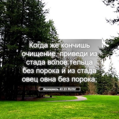 Picture 05 - Иезекииль 43:23 RUSV - Когда же кончишь очищение, - Bible Verse Picture