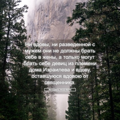 Picture 05 - Иезекииль 44:22 RUSV - Ни вдовы, ни разведенной с - Bible Verse Picture