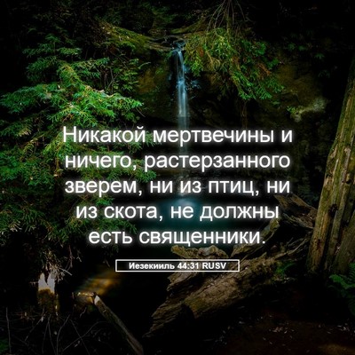 Picture 05 - Иезекииль 44:31 RUSV - Никакой мертвечины и - Bible Verse Picture