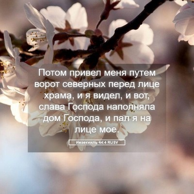 Picture 05 - Иезекииль 44:4 RUSV - Потом привел меня путем - Bible Verse Picture
