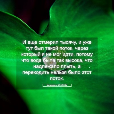 Picture 05 - Иезекииль 47:5 RUSV - И еще отмерил тысячу, и уже - Bible Verse Picture