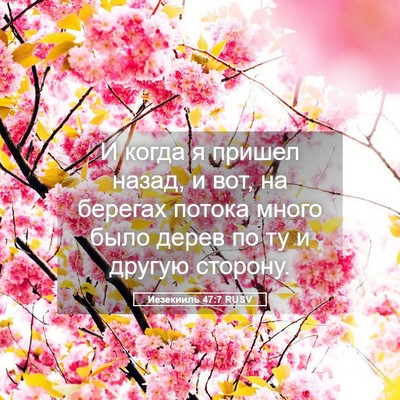 Picture 05 - Иезекииль 47:7 RUSV - И когда я пришел назад, и - Bible Verse Picture