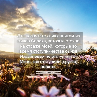Picture 05 - Иезекииль 48:11 RUSV - Это посвятите священникам - Bible Verse Picture