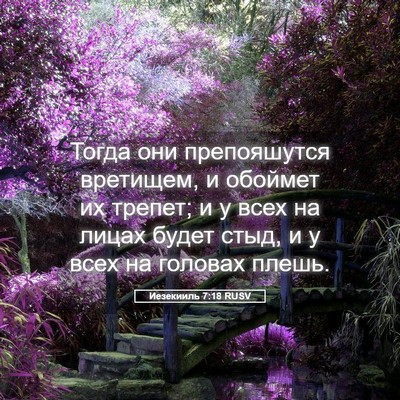 Picture 05 - Иезекииль 7:18 RUSV - Тогда они препояшутся - Bible Verse Picture