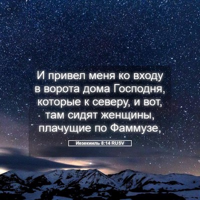Picture 05 - Иезекииль 8:14 RUSV - И привел меня ко входу в - Bible Verse Picture
