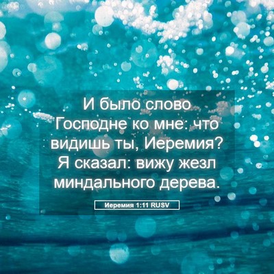 Picture 05 - Иеремия 1:11 RUSV - И было слово Господне ко - Bible Verse Picture