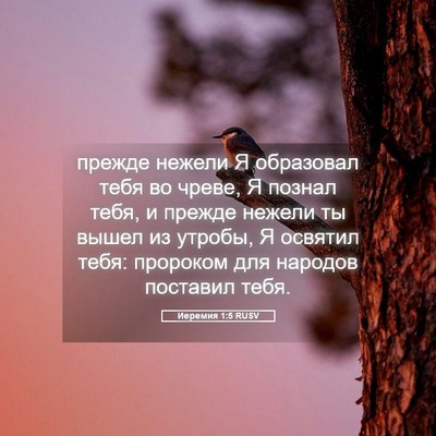 Picture 05 - Иеремия 1:5 RUSV - прежде нежели Я образовал - Bible Verse Picture