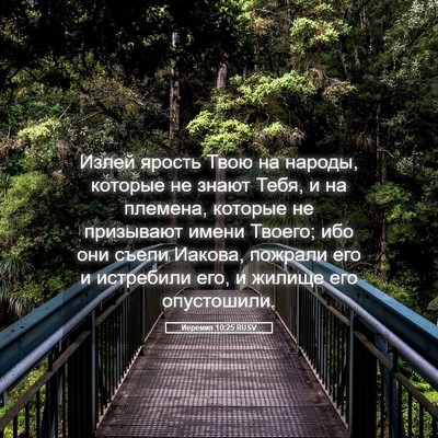 Picture 05 - Иеремия 10:25 RUSV - Излей ярость Твою на - Bible Verse Picture