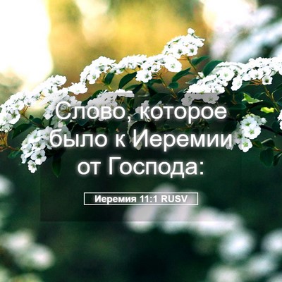 Picture 05 - Иеремия 11:1 RUSV - Слово, которое было к - Bible Verse Picture