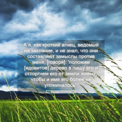 Picture 05 - Иеремия 11:19 RUSV - А я, как кроткий агнец, - Bible Verse Picture