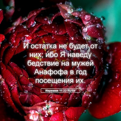 Picture 05 - Иеремия 11:23 RUSV - И остатка не будет от них; - Bible Verse Picture