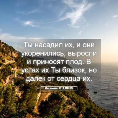 Picture 05 - Иеремия 12:2 RUSV - Ты насадил их, и они - Bible Verse Picture