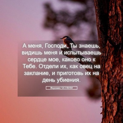 Picture 05 - Иеремия 12:3 RUSV - А меня, Господи, Ты знаешь, - Bible Verse Picture