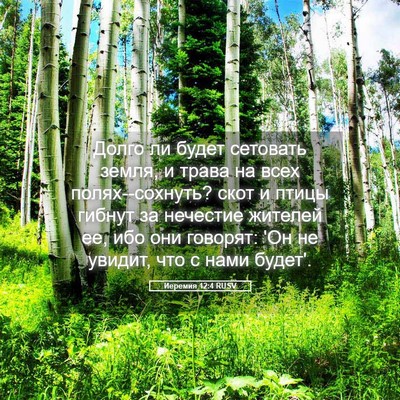Picture 05 - Иеремия 12:4 RUSV - Долго ли будет сетовать - Bible Verse Picture